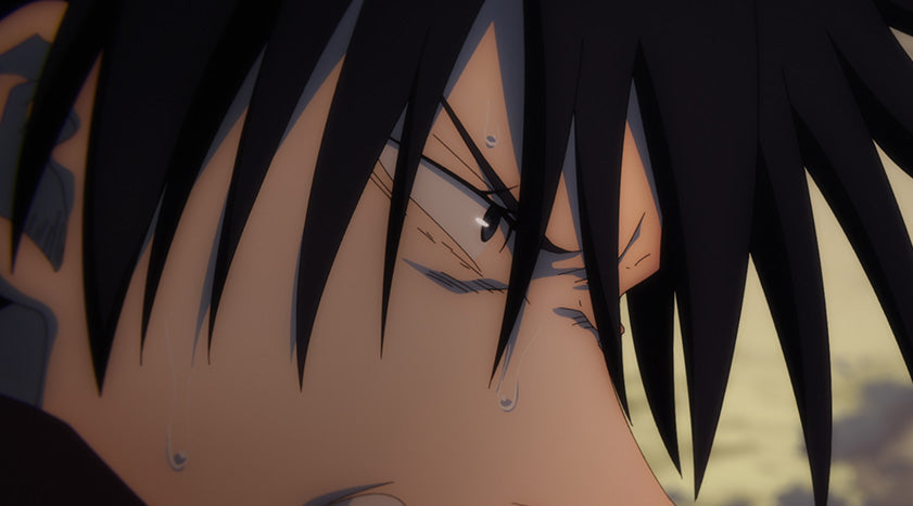 Megumi Fushiguro's Domain Expansion "Chimera Shadow Garden" Deep Analysis: Why Incomplete Domain Is So Powerful?