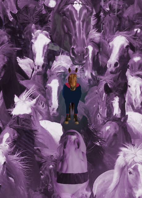 咒術廻戰 第2期