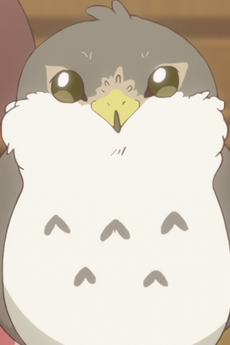 ノックス