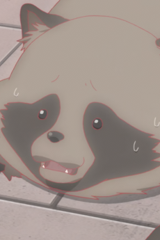 化狸