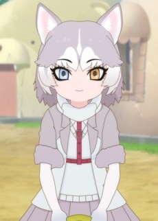 イエイヌ（雑種）