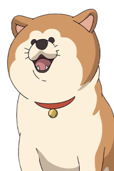 波奇