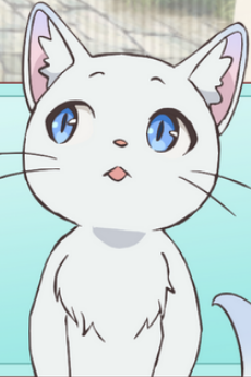 巴尼 (巴尼赤利阿奴蘇特雷法拉努特阿諾)