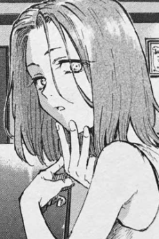 星見菊