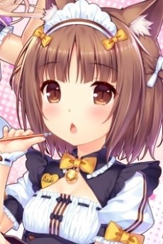 紅豆