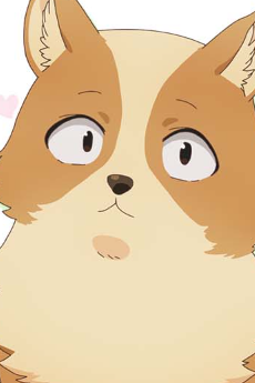 波奇太