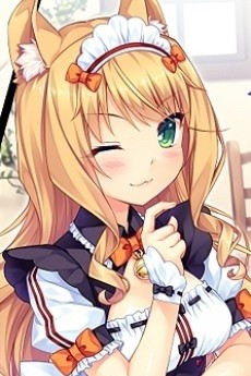 楓