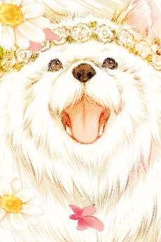 ディー