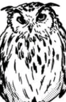 リガルド