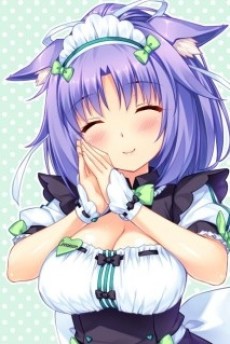 桂