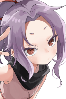 サザンカ
