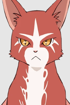 猫龍