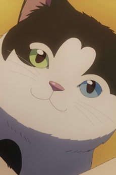 蘇鐵