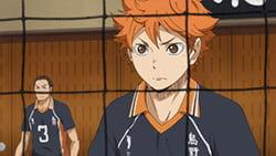 Decrypting "Haikyuu!!" Shoyo Hinata's Birthday: The Volleyball Passion of the Summer Solstice Child
