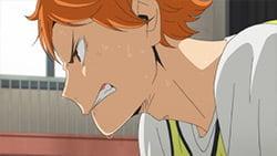 Clarification: "Haikyuu!!" Shoyo Hinata Has Not Died: The Continued Soaring of the Passionate Chapter
