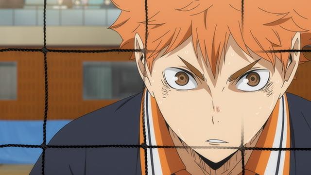 Without Volleyball: Which Sports Arenas Would Hinata Shoyo from "Haikyuu!!" Be a Comet On?