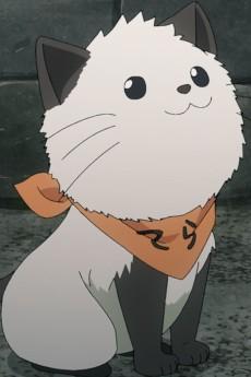 喵之助