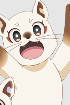 拓莉卡