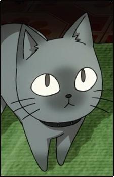 ばーぶ