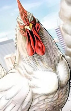 雞志
